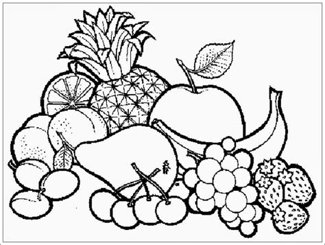 sketsa buah buahan  jeruk alami hijau